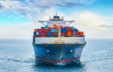 Streamlining Legal Workflows with Pravaah Pro — A Custom CMS for ProConnect Integrated Logistics